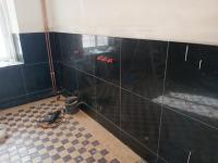 20250222_111236 (1024x768).jpg